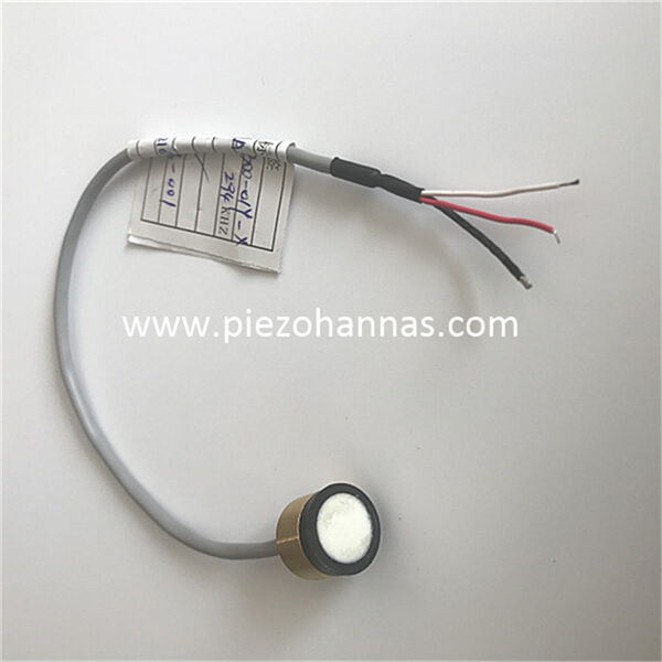 Kundenspezifischer piezoelektrischer 200-kHz-Ultraschallwandler für Ultraschall-Gasdurchflussmesser