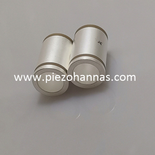 Preise für empfindliche piezoelektrische Keramik-Zylinderwandler